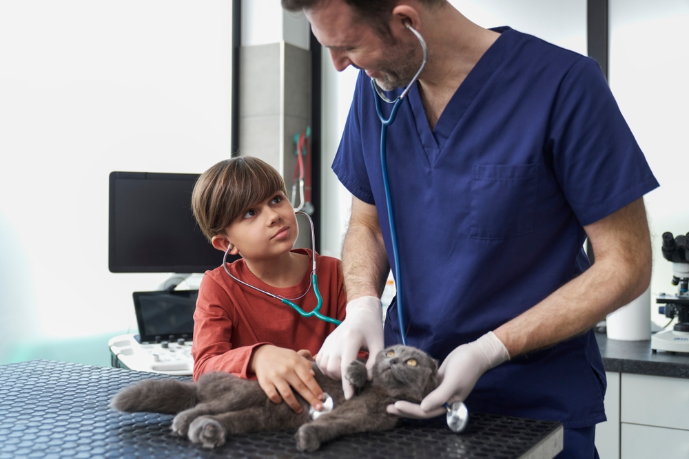 Docente Médico Veterinario Zootecnista en Pichincha, Quito